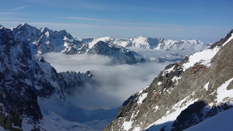 Zakopane z psem — przyjazne miejsca i szlaki